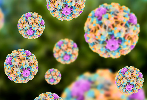 Cijepljenje protiv HPV virusa za učenike i učenice